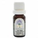 ゼラニウム(JANESCE精油)ピンク